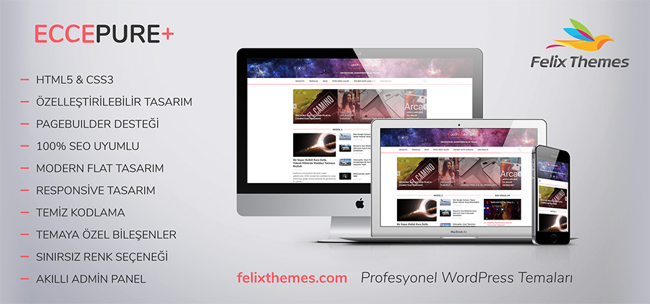 EccePure WordPress Teması